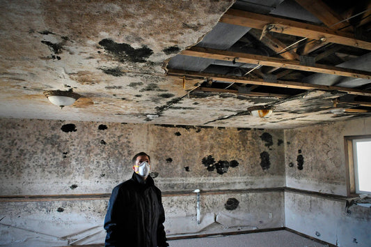 The Ultimate Guide to Safely Removing Mold: Tips and Tricks