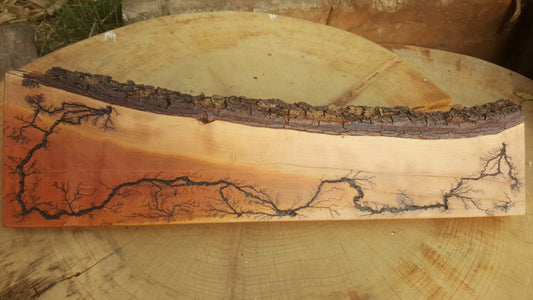 Competition Entry: Lichtenberg Fractal Burning