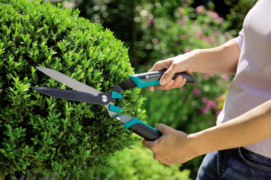 Pruning Basics: Pruning Shears