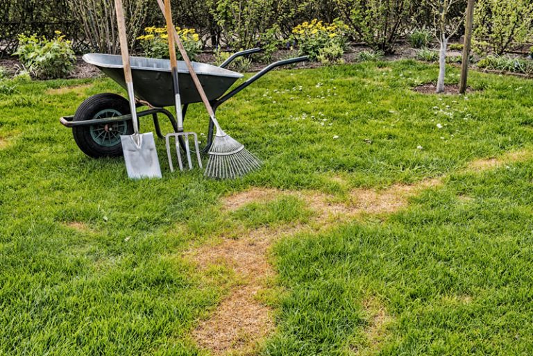 How to Troubleshoot and Repair Bare Spots in Your Lawn