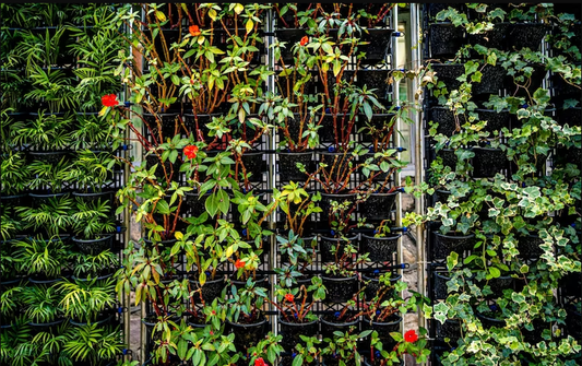 Creating Your Own Vertical Garden at Home