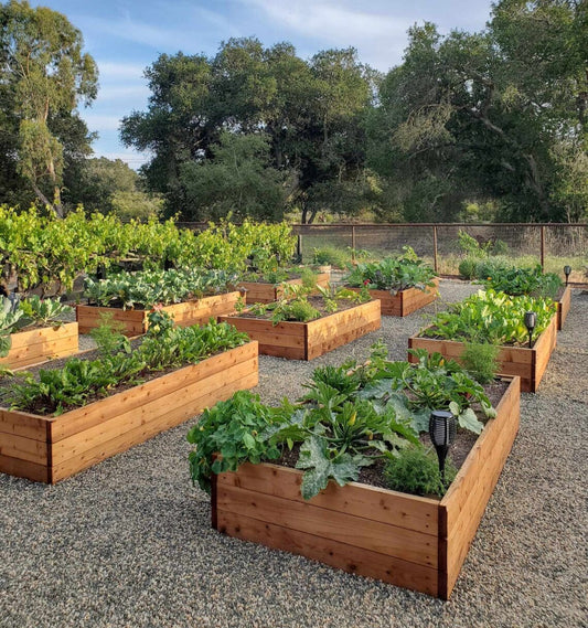 Transform Your Backyard with a DIY Raised Garden Bed