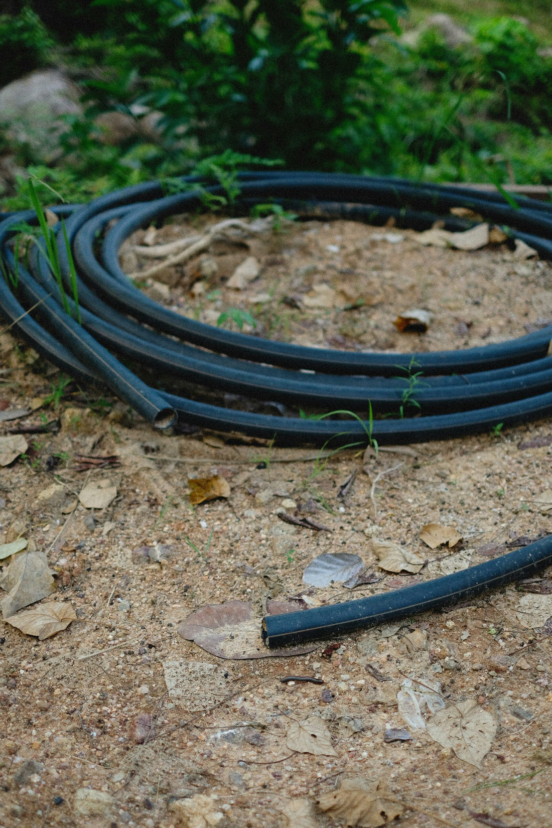 Finding New Uses For Your Old Garden Hoses