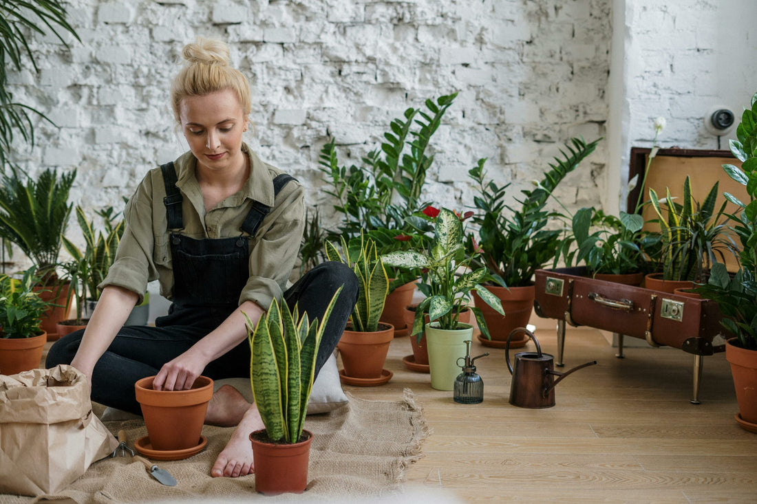 Hot Trends in Home Gardening