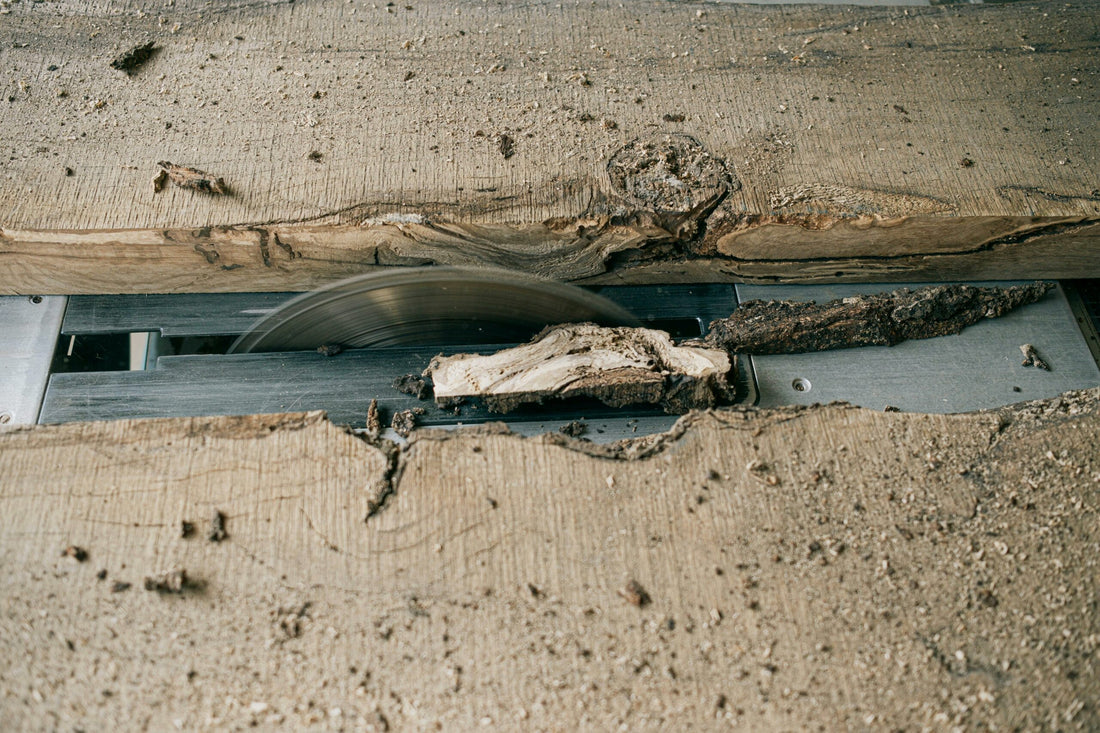 A Comprehensive Guide to Epoxy Repair for Decayed Wood