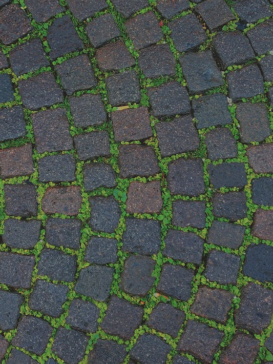 Maintaining Your Paving
