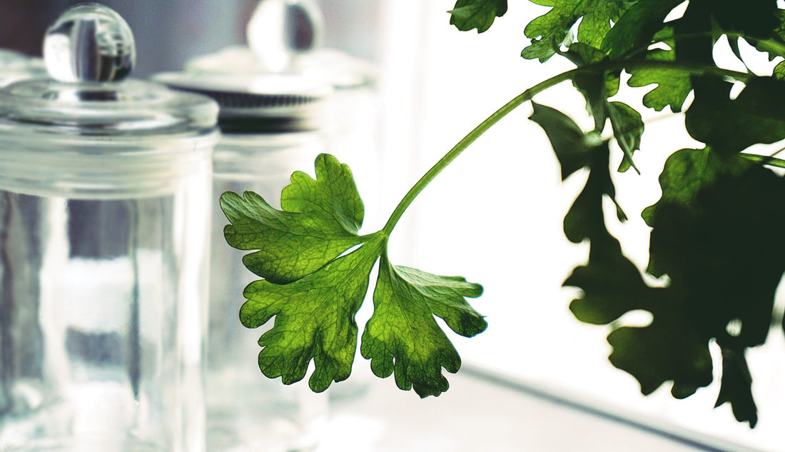 Fun Ideas for Your Kitchen Garden