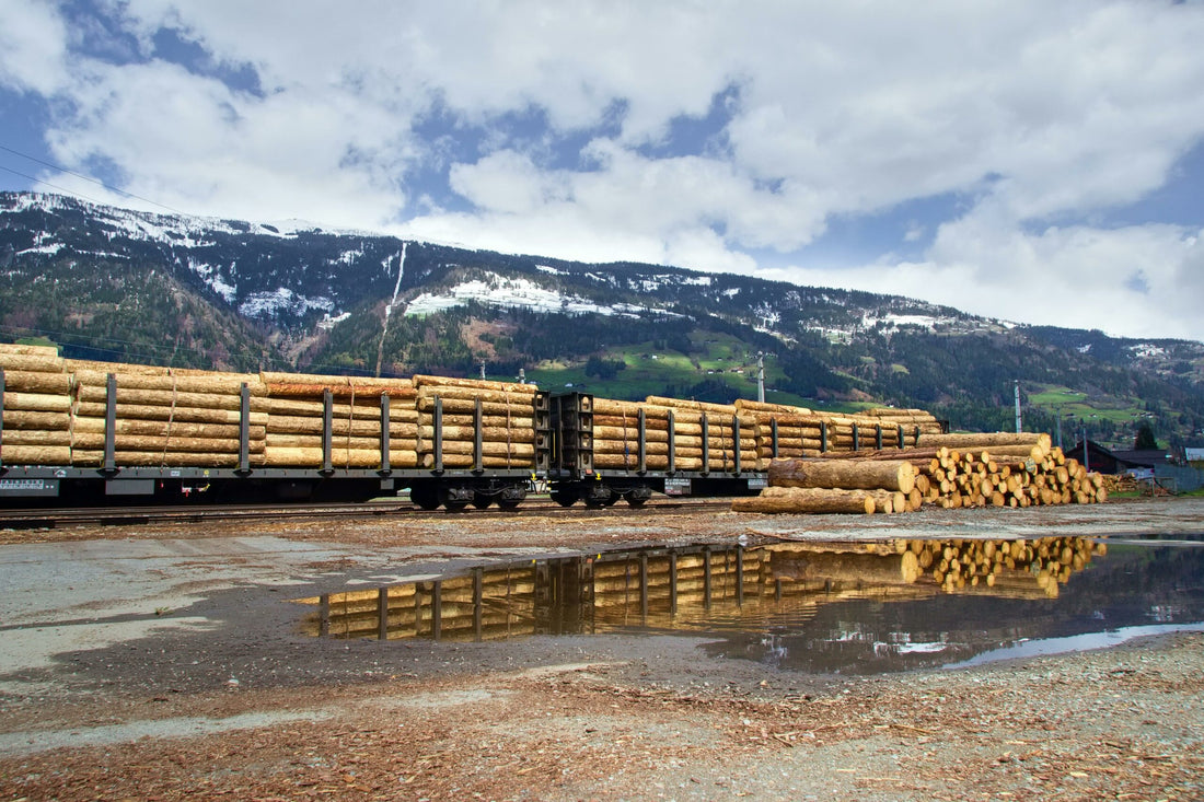 Where to Buy Exotic Wood in South Africa: A Guide for Woodworking Enthusiasts