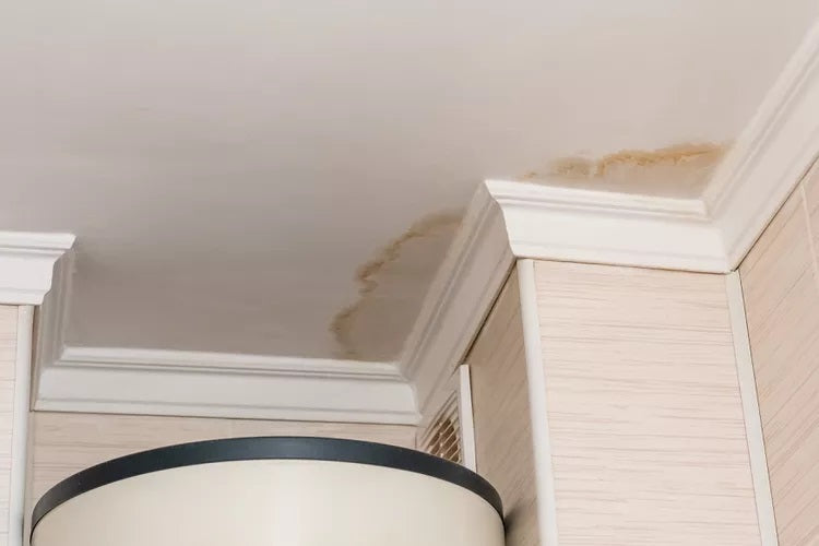 Ceiling Water Stains For Noobs