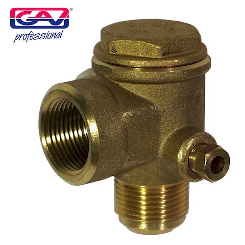 Non-return valve 1' - f/m bx16vrv123(COM4050-4)