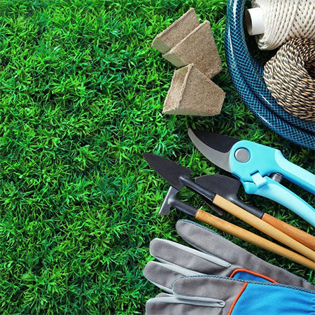 Lawn Care: 15 Essential Tools You Should Have In Your Shed