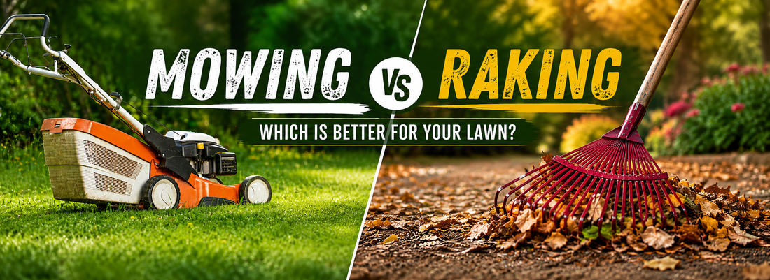Mowing vs. Raking Leaves: Which Is Best for Your Lawn?