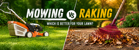 Mowing vs. Raking Leaves: Which Is Best for Your Lawn?