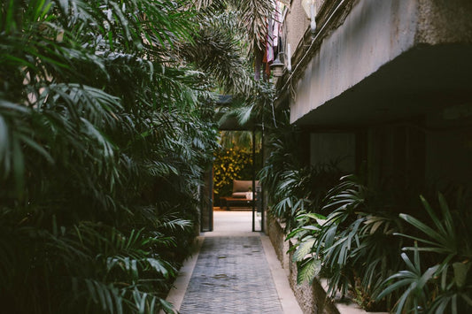 Urban Gardening &#8211; Getting Started