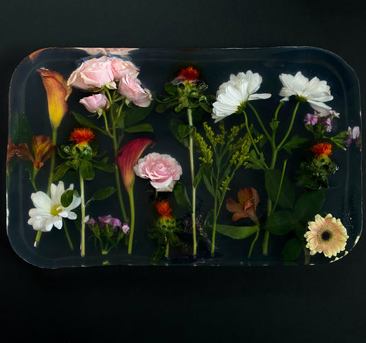 Growing Indoors &#8211; Grow Light Basics