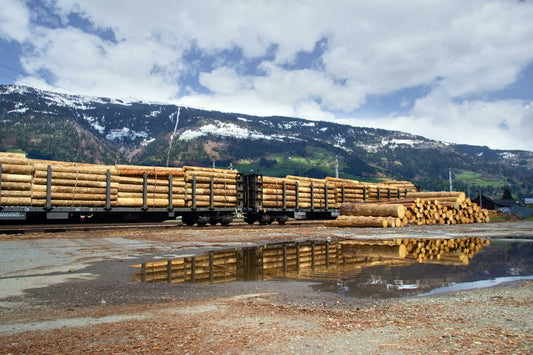 Where to Buy Exotic Wood in South Africa: A Guide for Woodworking Enthusiasts