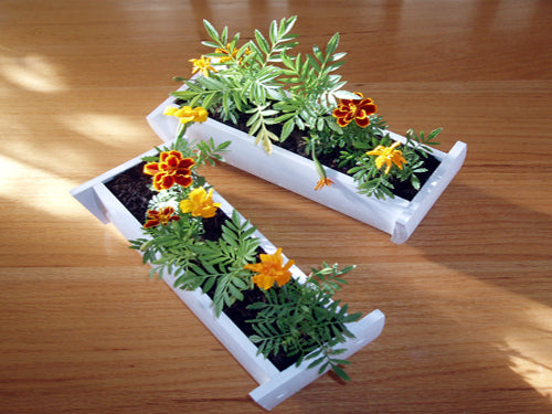 Planter Boxes