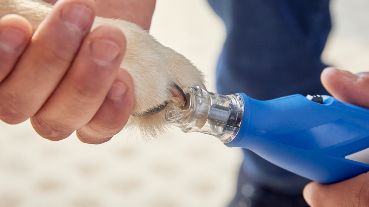 Dremel 1Pc Max Diamond Coated Pet Grooming Accessory (416DM) | 26150416DM