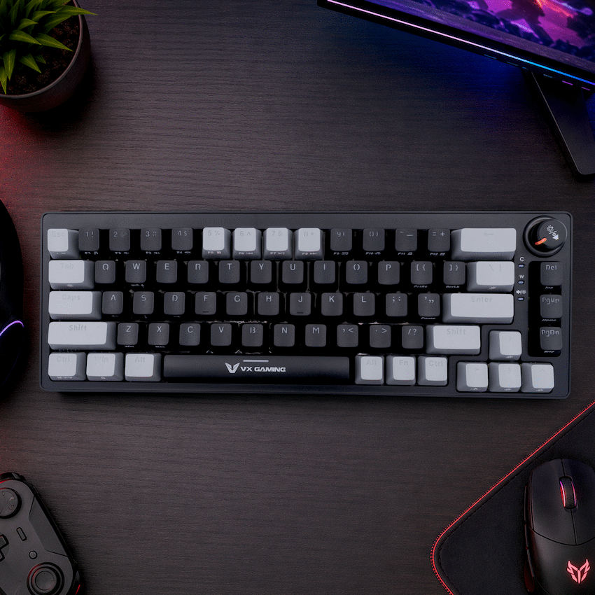 VX Gaming Sun-Wukong RGB Hot Swappable Mechanical Keyboard | VX-232-BKGY