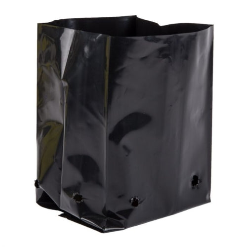 RJE 25/Pk Plant Bags 175x150x250mm GF6- 7L | 16110510