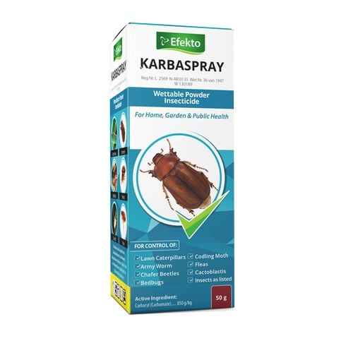 Efekto Karbaspray 50 g | 16158