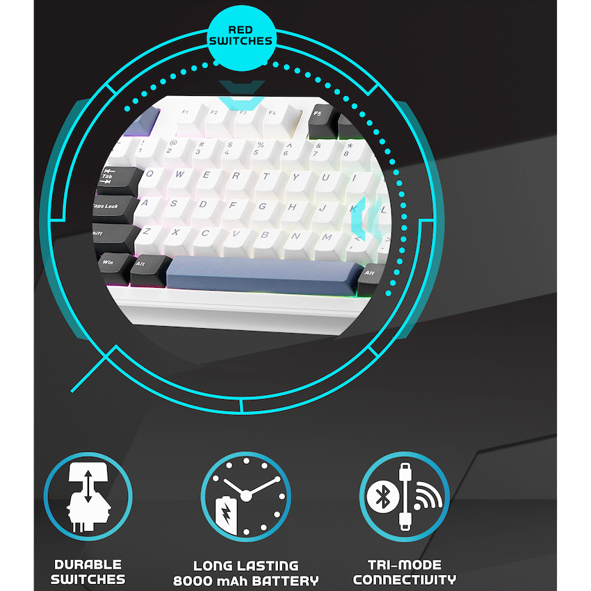 Volkano Gaming Obsidian X1 TKL Mechanical Tri-mode keyboard with Red switches | VG-210-BK