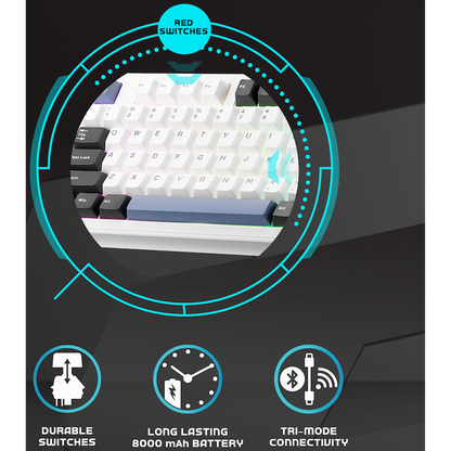 Volkano Gaming Obsidian X1 TKL Mechanical Tri-mode keyboard with Red switches | VG-210-BK