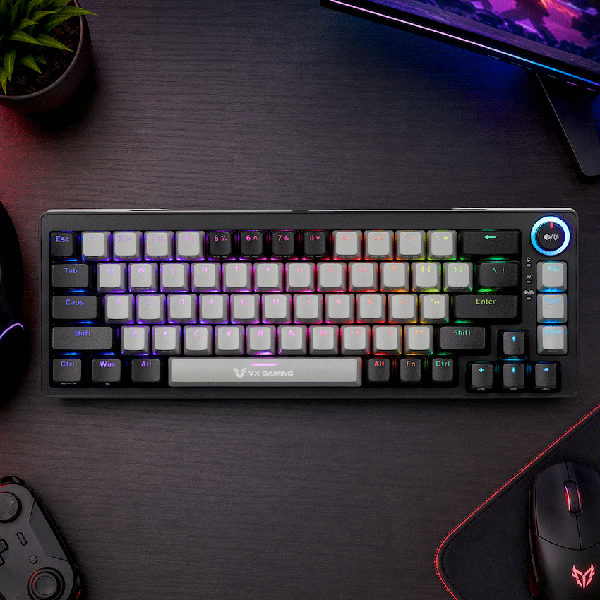 VX Gaming Sun-Wukong RGB Hot Swappable Mechanical Keyboard | VX-232-GYBK