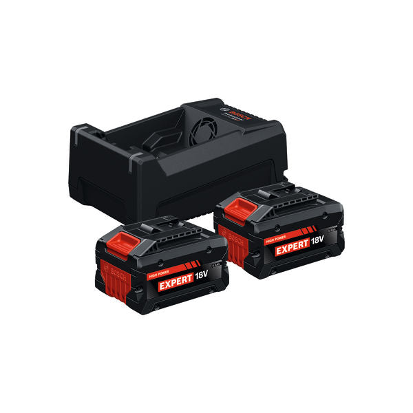 Bosch Expert 2x EXBA18V-55 + GAL 12V/18V-80 Professional Starter Set | 1600A0373P