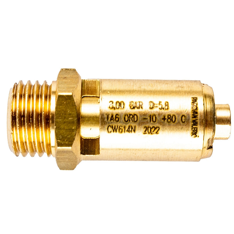 Bamax Safety Valve - 1/4" Preset 8 Bar (Bulk) | GIO4003-1