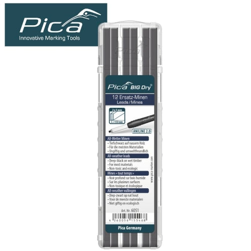 PICA6051