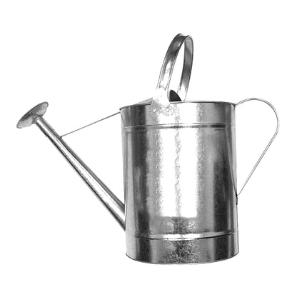 Fragram Galvanised Water Can 4L | TOOK2114